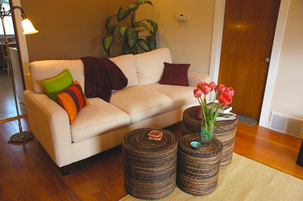 Salon acogedor de casa