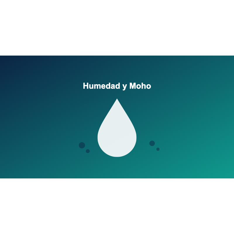 Icono humedad y moho en casa